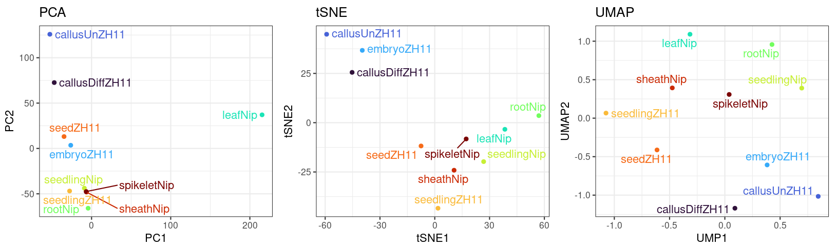 PCA / tSNE / UMAP 对比